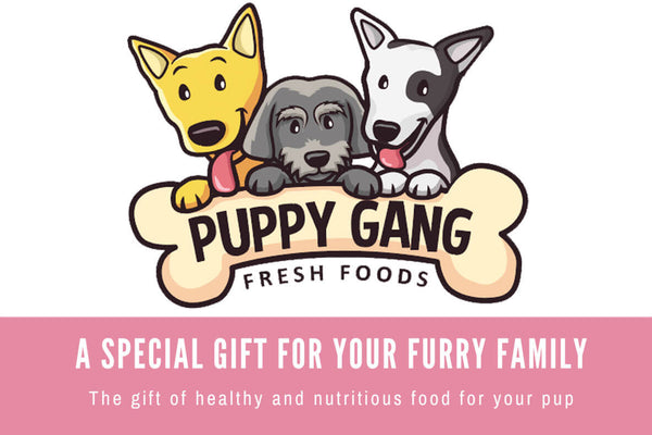Puppy Gang Gift Card